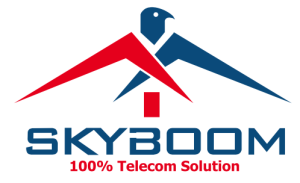 Skyboom Ghana Limited — 100% Telecom Solution